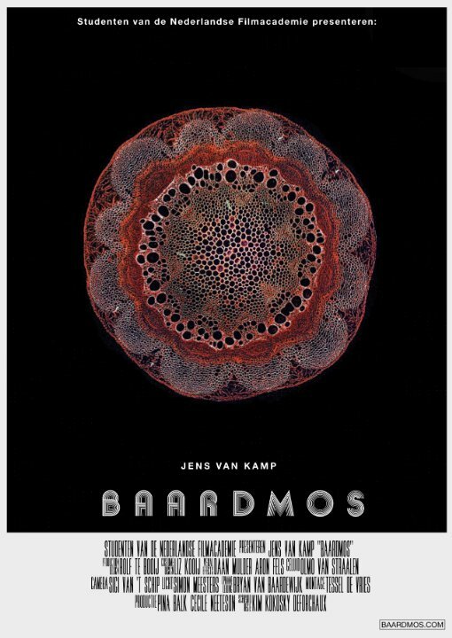 Baardmos (2015)