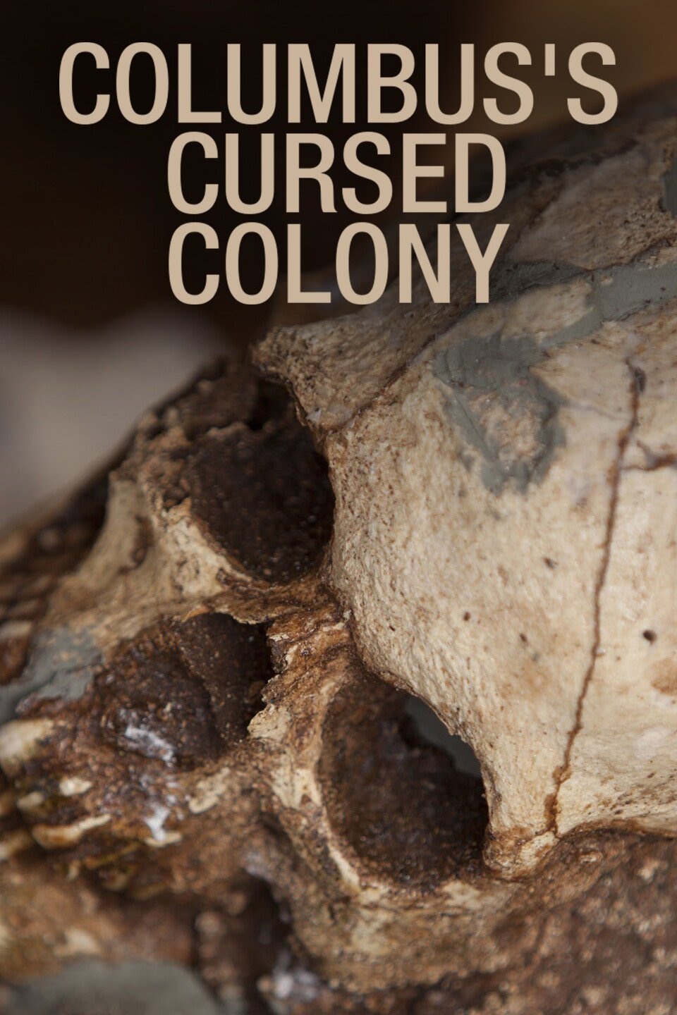 Пропавшая колония Колумба (2010)