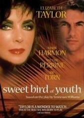 Сладкоголосая птица юности (1989)