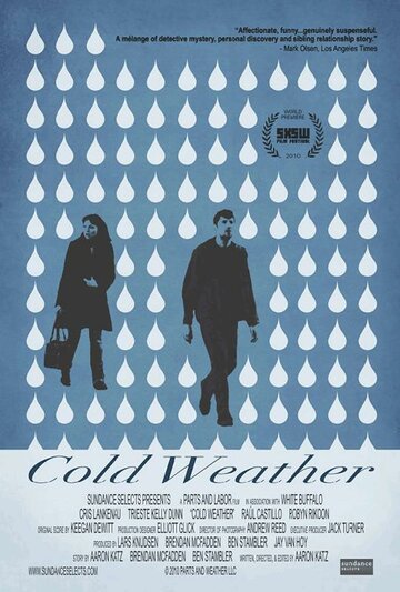 Холодная погода (2010)