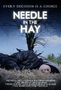 Needle in the Hay (2011)