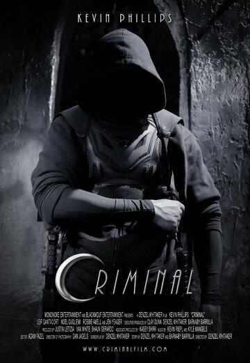 Криминал (2013)